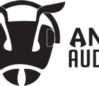 List of Ant Audio Service Centre in India